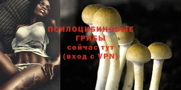 COCAINE Абаза
