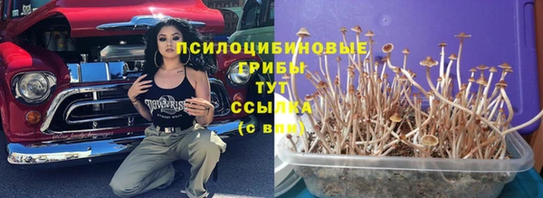 не бодяженный Алзамай