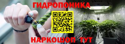 метадон Сланцы