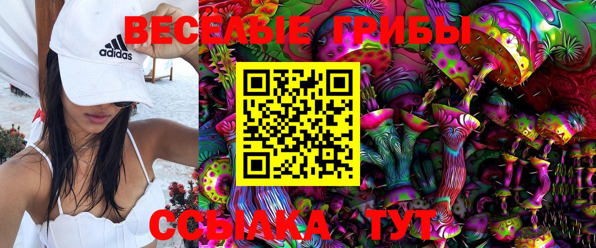 Галлюциногенные грибы Psilocybe  Вход с VPN  Прокопьевск 
