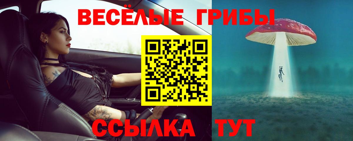 Псилоцибиновые грибы MAGIC MUSHROOMS Прокопьевск